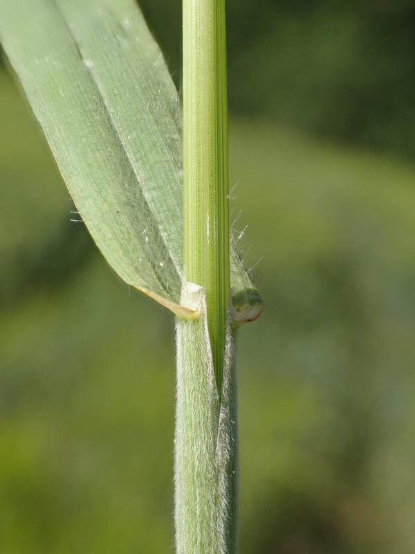 Art Naturportal Südwest