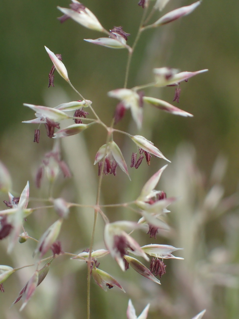 Art Naturportal Südwest