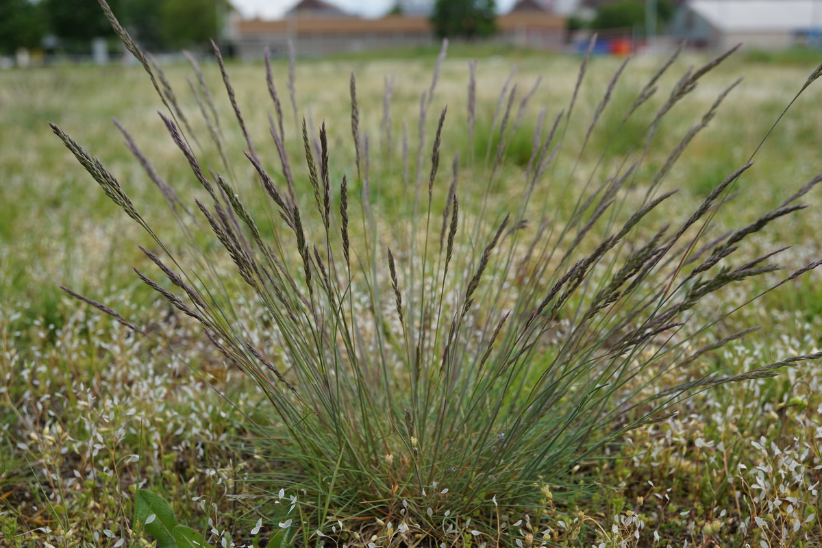 Art Naturportal Südwest