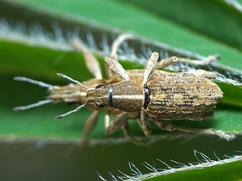 Art Naturportal Südwest