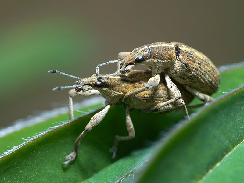 Art Naturportal Südwest