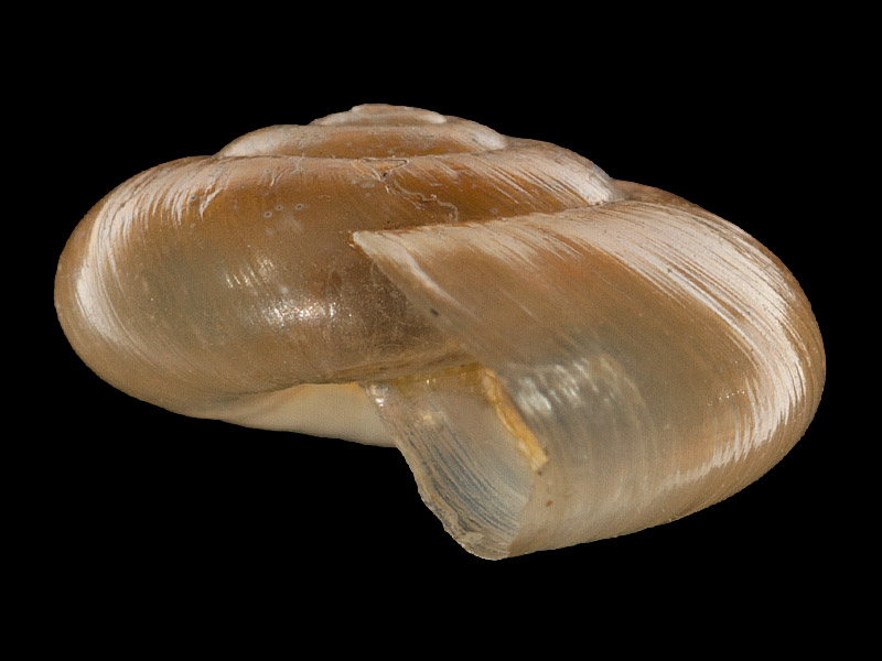 Art Naturportal Südwest