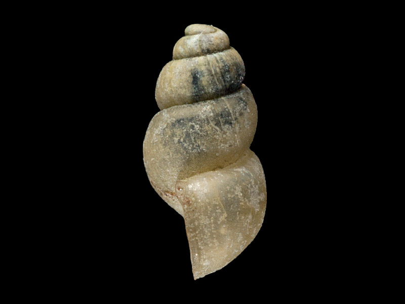 Art Naturportal Südwest