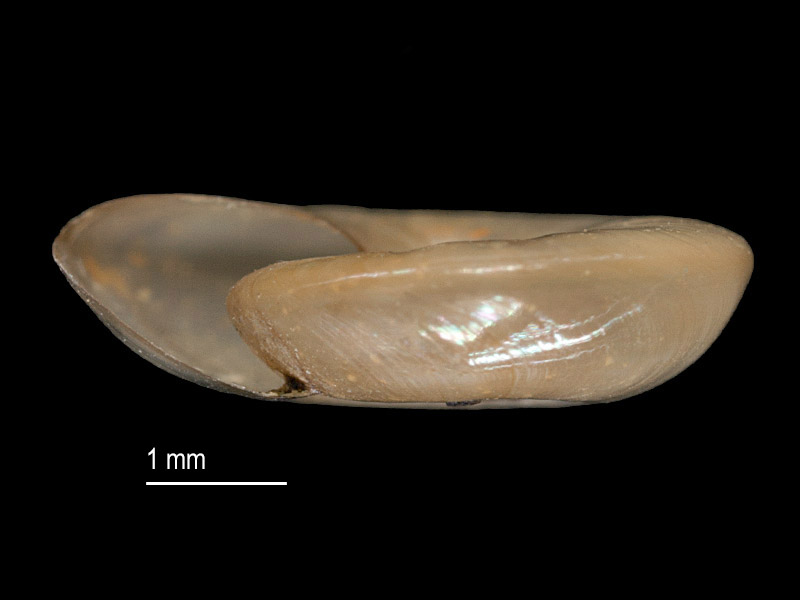 Art Naturportal Südwest